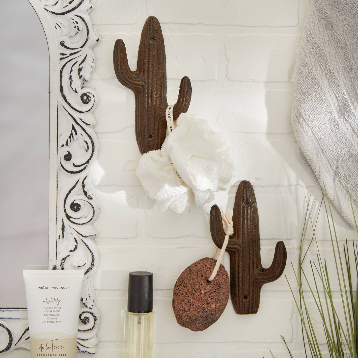 Cactus Wall Hook