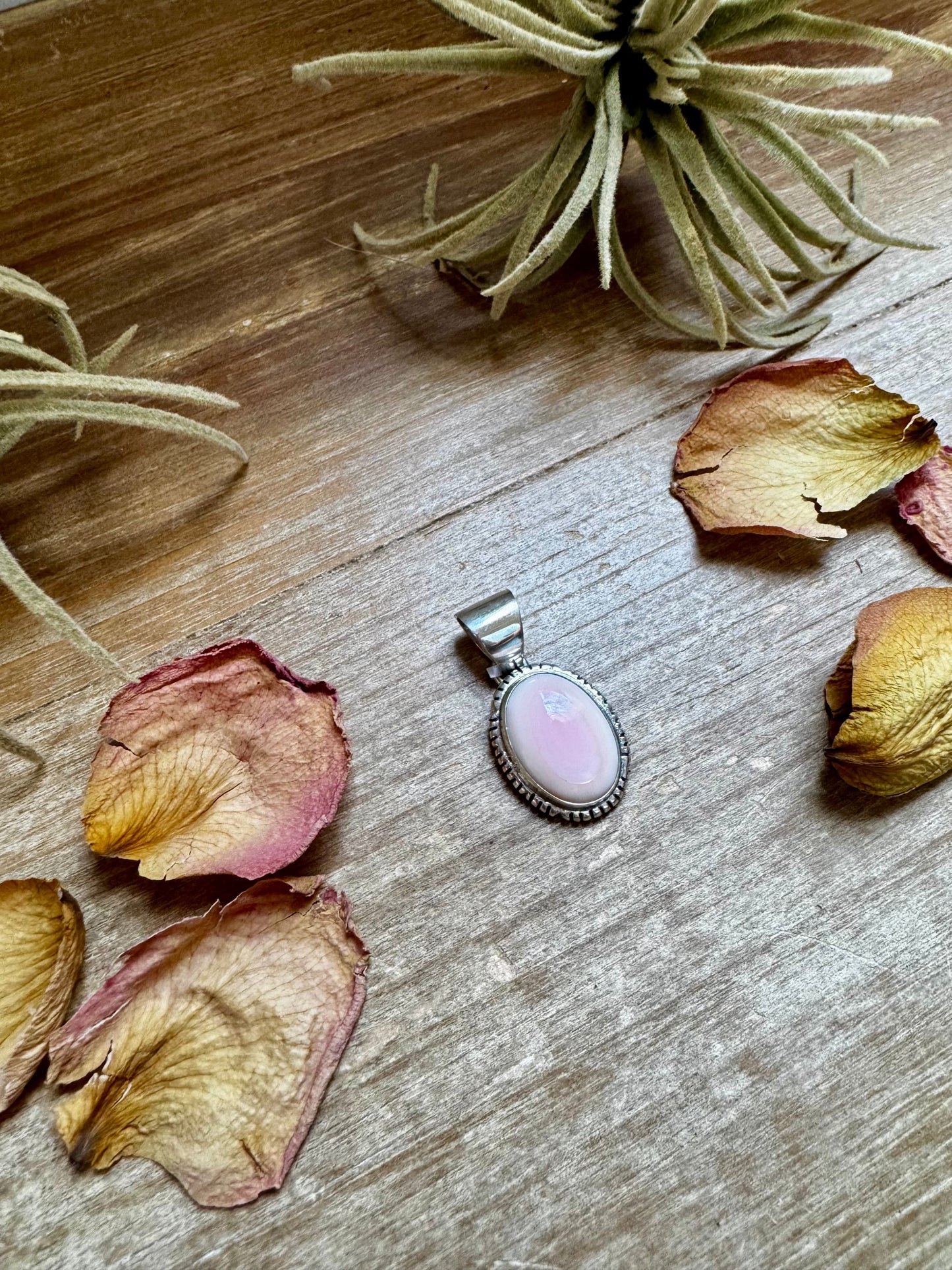 Simple Pink Conch Pendant – Sterling Silver, Made in USA