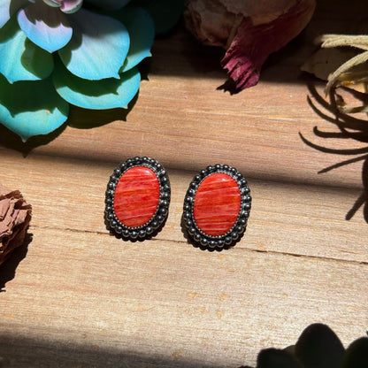 MJ Red Spiny Oyster Oval Stud Earrings