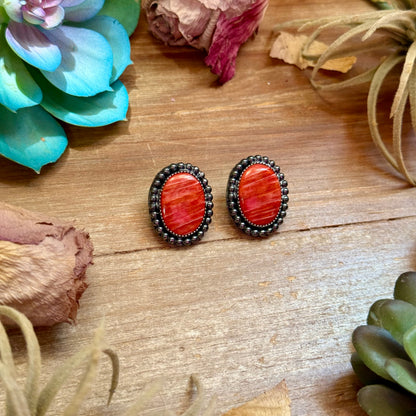 MJ Red Spiny Oyster Oval Stud Earrings