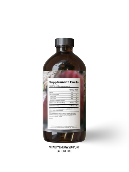 Vitality Energy Support 16 oz