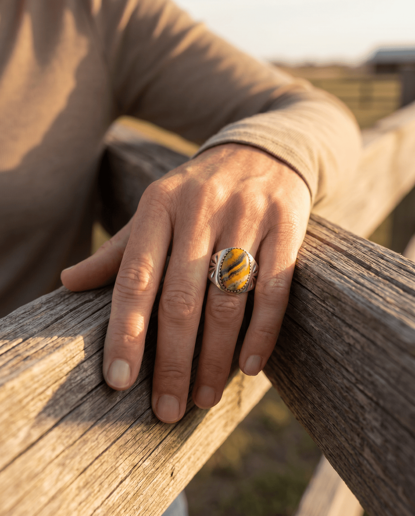 Annie Lincoln Navajo Sterling Silver Bumblebee Jasper Ring — Size 9