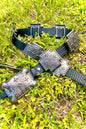 Black Gator Genuine Leather Western Belt — Cross Concho Detail