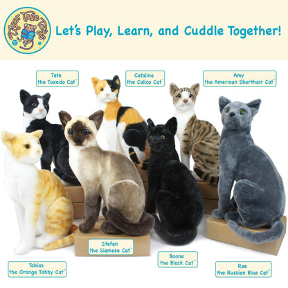 Stefan the Siamese Cat 13" Plush — Pet Friend (Thailand Chatty-Cat Story)