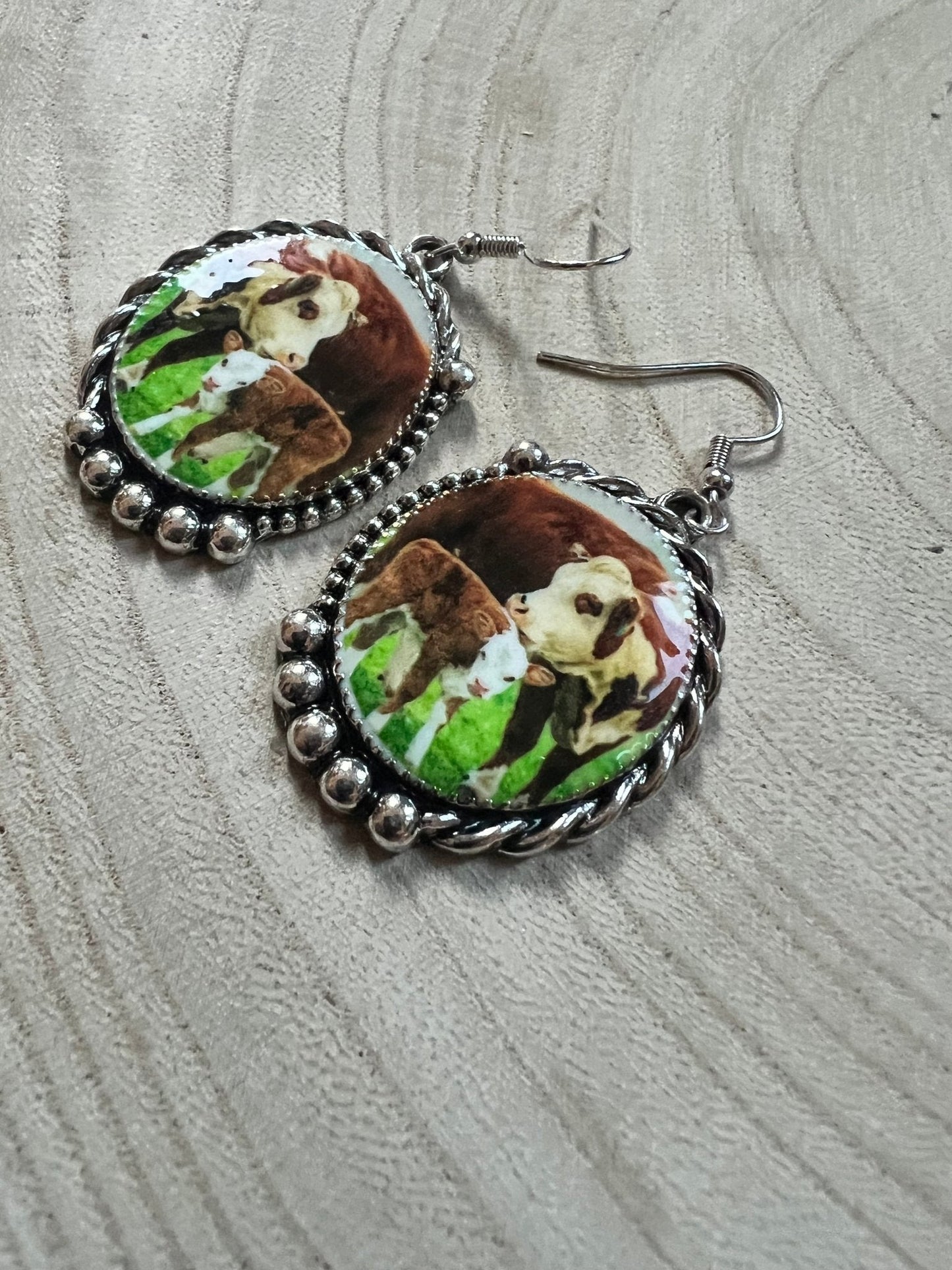 Western Framed Cow Calf Fashion Earrings — Ranch Life Statement (1½" x 1")